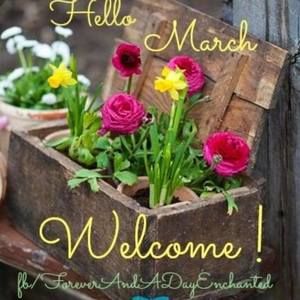 Meet your Posher, Sue